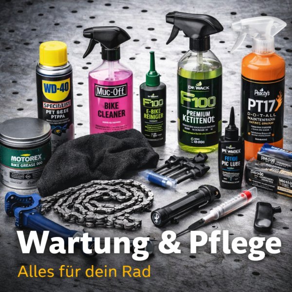 Wartung/Reinigung